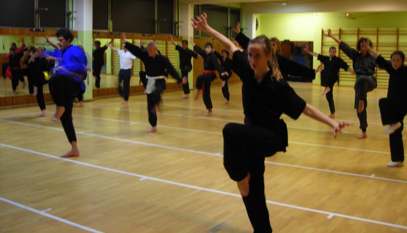Cours De Kung Fu Paris 13 tao chang quan au cours de kung fu paris 15 : Afac Sport