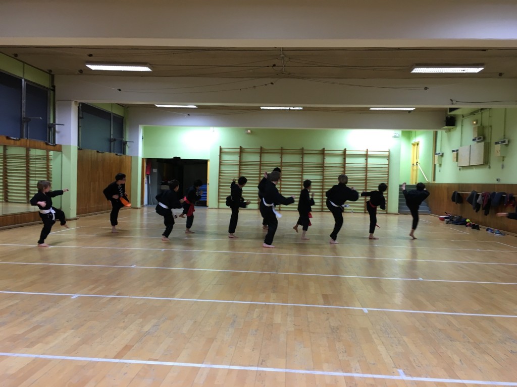 Cours De Kung Fu Paris 13 Lieu : Afac Sport